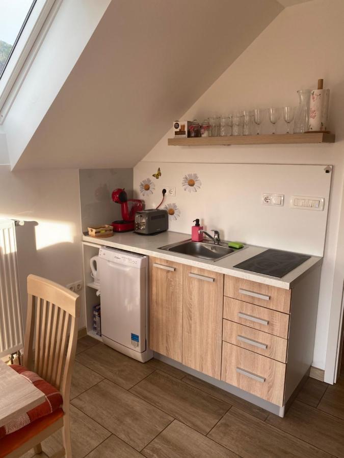 Apartment Marjetka Zirovnica Екстериор снимка